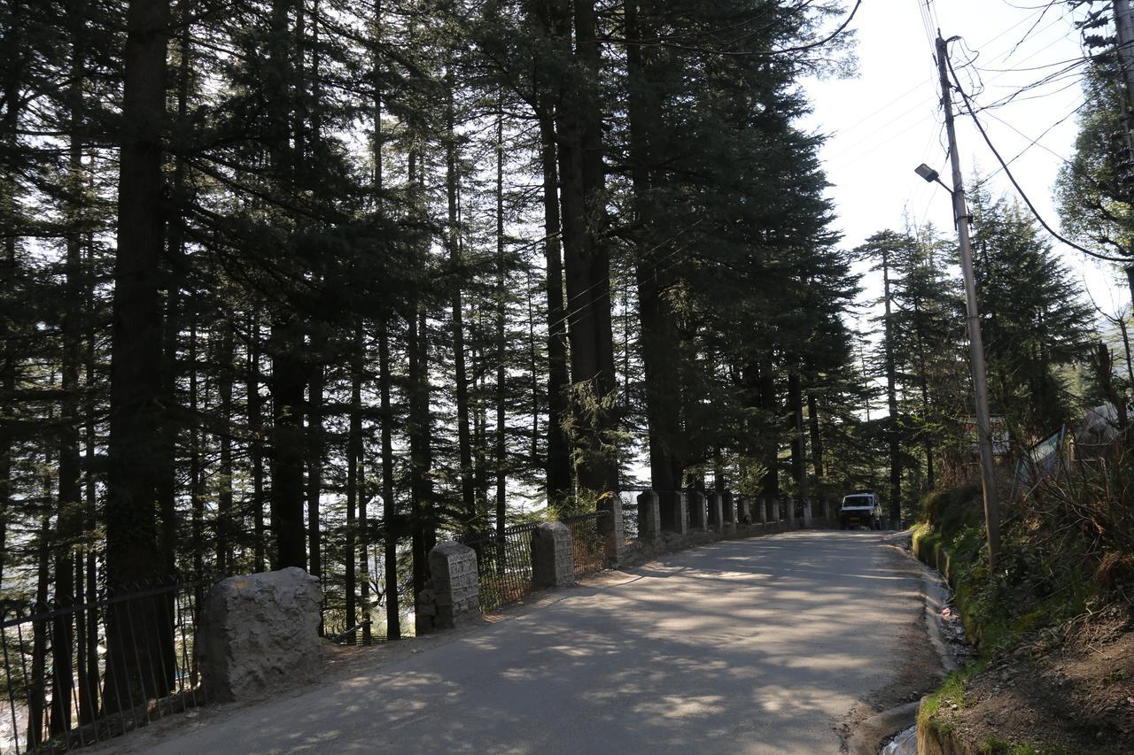 Hotel Mountain Trail Manali Экстерьер фото